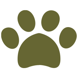 paw icon